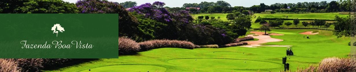 Banner lançamento